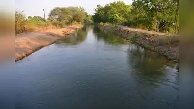 Because most canals are not piped, illegal withdrawals had at times reduced downstream flows