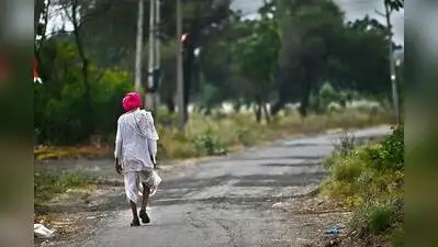 With fierce drought sweeping through 85% of Maharashtra, many had to migrate in August itself