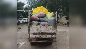 Mirzapur Police Seize 1,204 kg Ganja Worth Rs 6 Cr, Arrest Two Interstate Smugglers