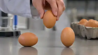 MIT researchers tested whether eggs break more easily on their sides: The wider industry impact