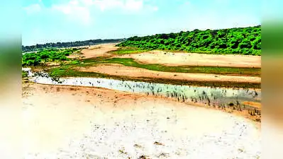 Bawankule directed NMC and the water resources department to jointly prepare the proposal